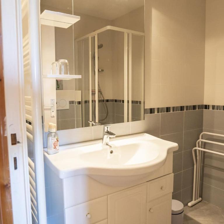 Studio 4 pers. à Châtel, parking et animaux admis - FR-1-676-130 - Studio - 8