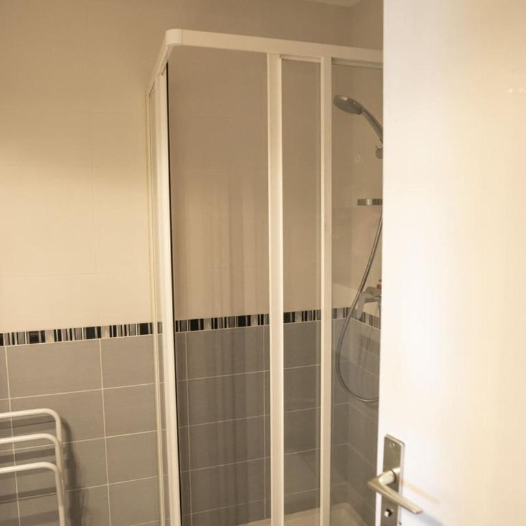 Studio 4 pers. à Châtel, parking et animaux admis - FR-1-676-130 - Studio - 10