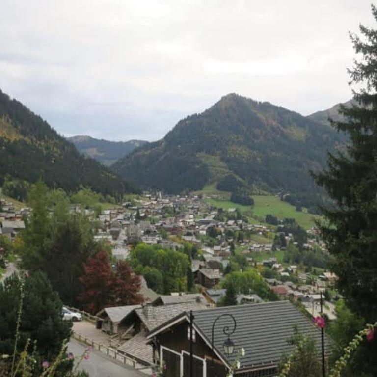 Appartement 2 pièces à Châtel, 5 personnes, avec terrasse exposée sud - FR-1-676-150 - Appartement - 13