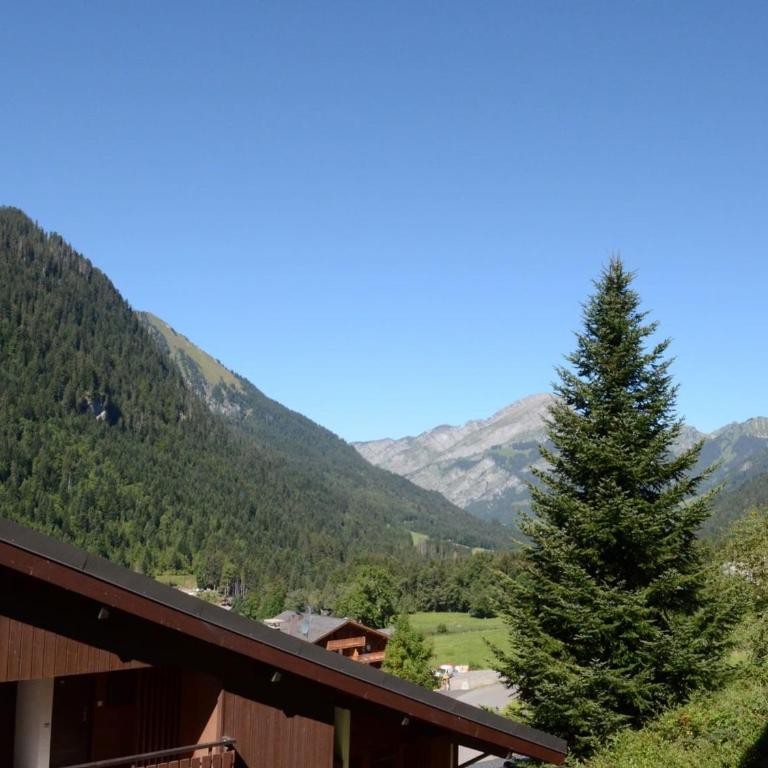 Studio Mezzanine, Châtel - Proche Village et Remontées, 4 Pers., Parking, Balcon, Cuisine équipée - FR-1-676-161 - Studio - 2