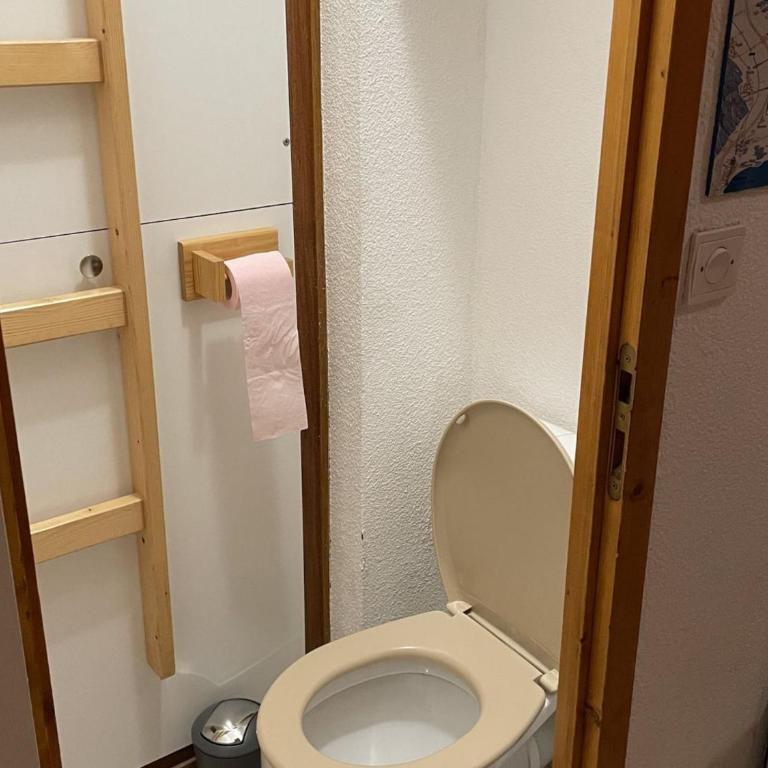 Charmant appartement 3 pièces, 6 pers., animal admis, parking à Châtel - FR-1-676-158 - Appartement - 7