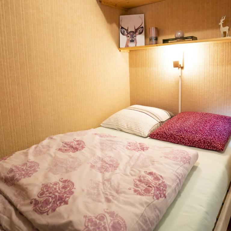 Studio confortable à Châtel – 4 pers, balcon, expo S/O, proche du centre - FR-1-676-168 - Studio - 7