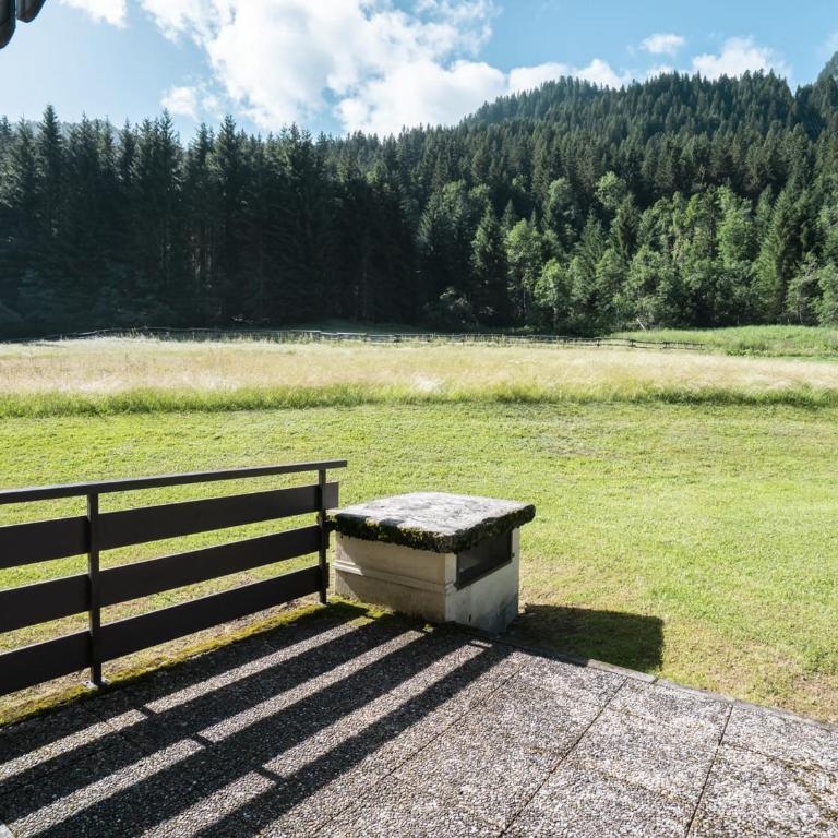 Appartement confortable à Châtel, 3 pièces, pour 5 personnes - FR-1-676-174 - Appartement - 19