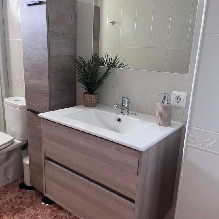Apartamentos custodio - Apartamento de 3 dormitorios - 5