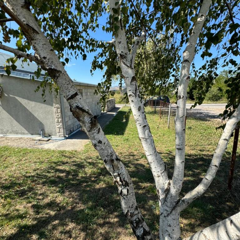 Apartments Airport Golubovci - One-Bedroom Apartment - 5