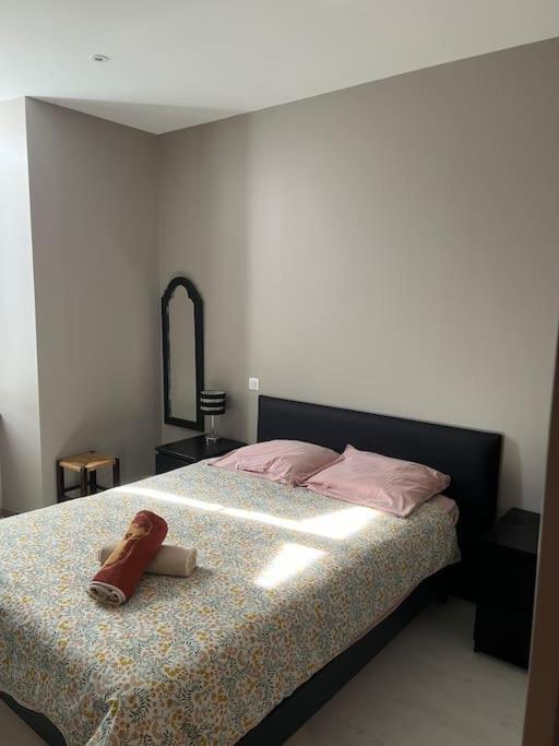 Superbe appartement plein centre - Appartement 2 Chambres - 16