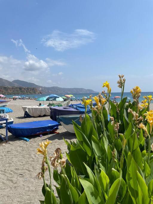 Lovely studio Nerja ground floor - Apartamento de 1 dormitorio - 41