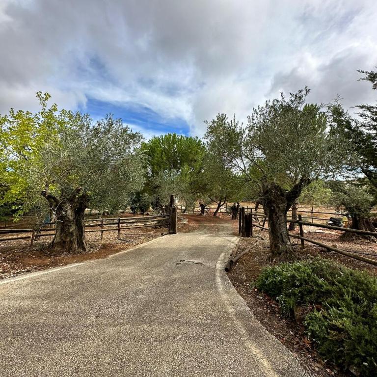 EL REFUGIO Archidona - Villa - 17