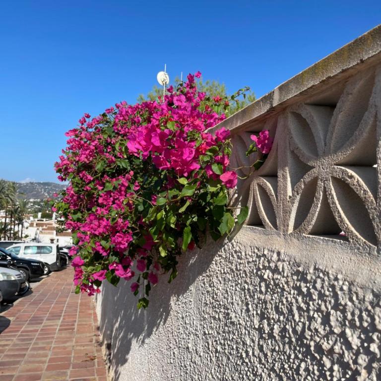 Lovely studio Nerja ground floor - Apartamento de 1 dormitorio - 48