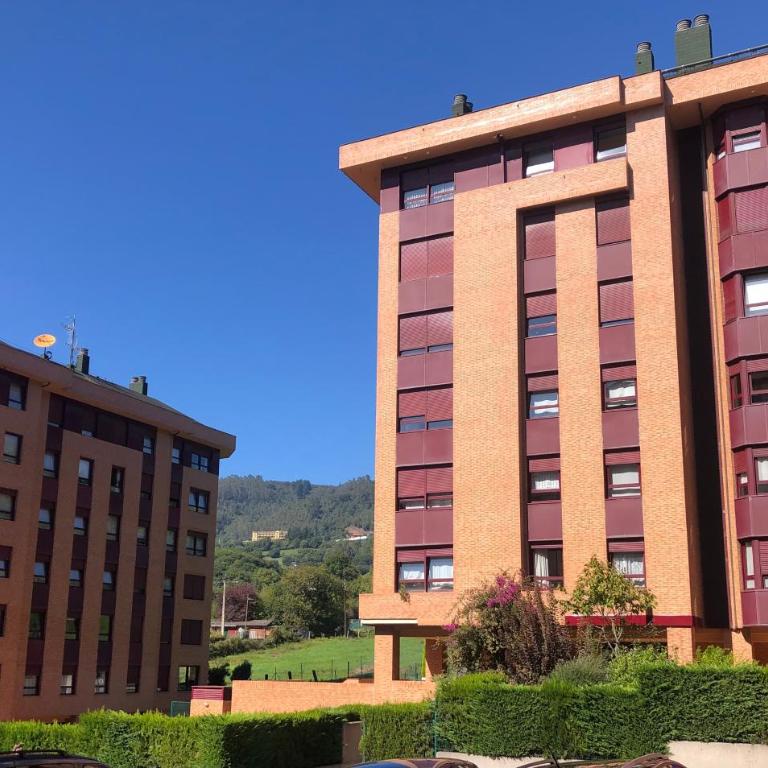 Apartamento Oviedo próximo Inst Oftalmológico Fdez-Vega - Apartamento de 1 dormitorio - 25