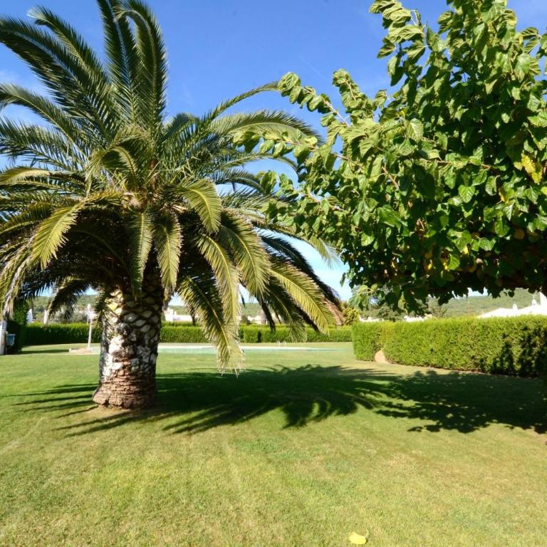 Les Acacies 10 - Vacation Home - 13