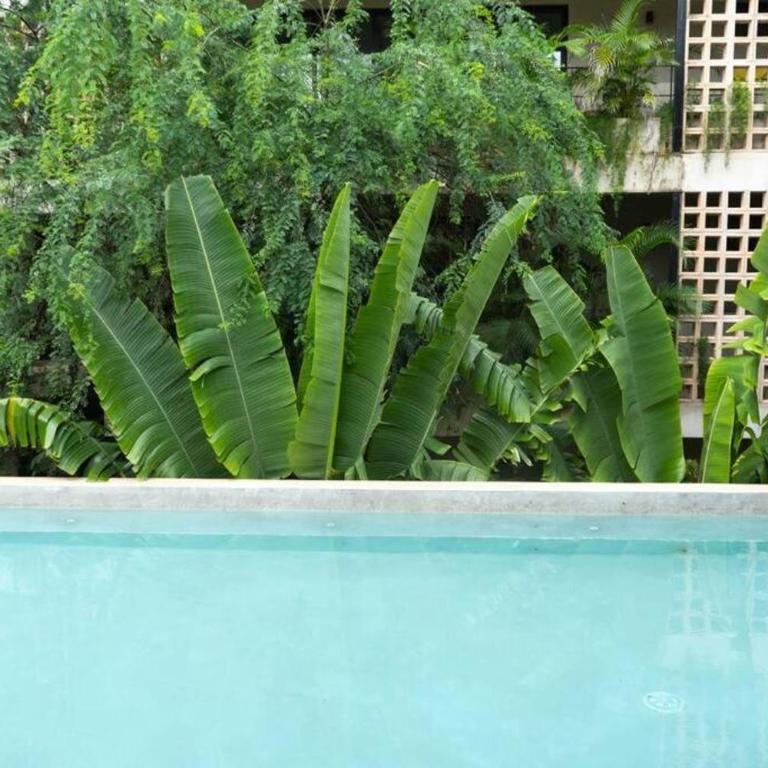 Paraiso Aldea Zama Tulum - Apartamento de 1 dormitorio - 31