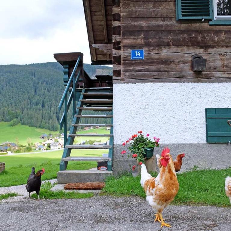 Ferienhaus Asterbach - Ferienhaus - 26