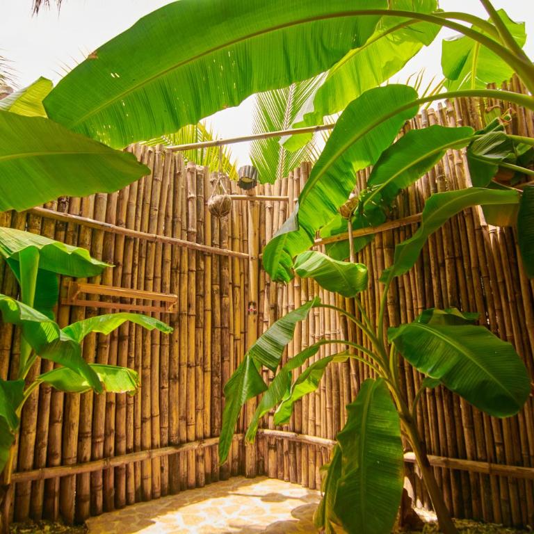 Hotel Isla Mucura - Standard Double Room - 2