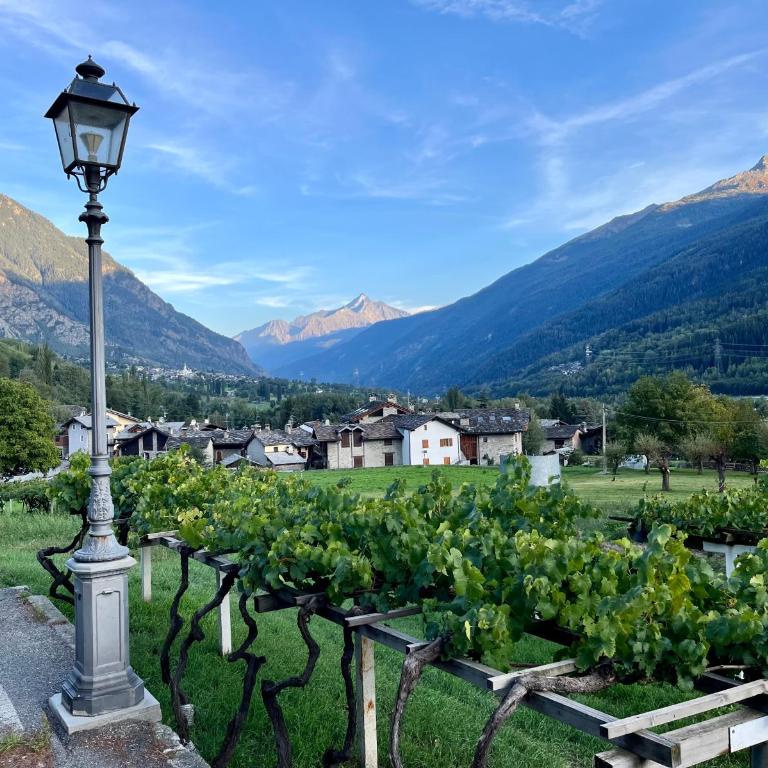 Casa dei Ciliegi - Appartamento con 2 Camere da Letto - 52