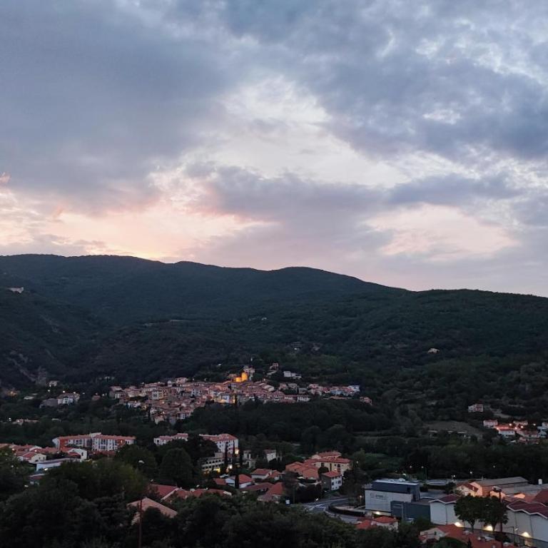 Appartement avec terrasse et belle vue sur Palalda - Appartement 1 Chambre - 5