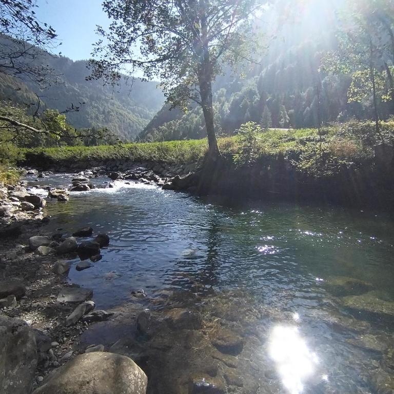 Châlet 8 personnes + grand terrain et rivière - Chalet 2 Chambres - 28