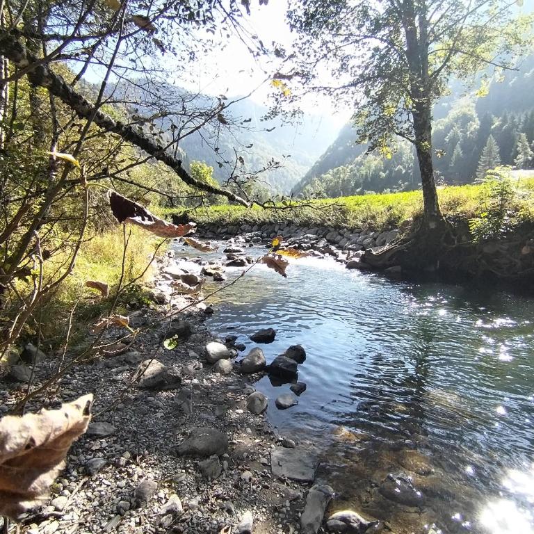 Châlet 8 personnes + grand terrain et rivière - Chalet 2 Chambres - 29