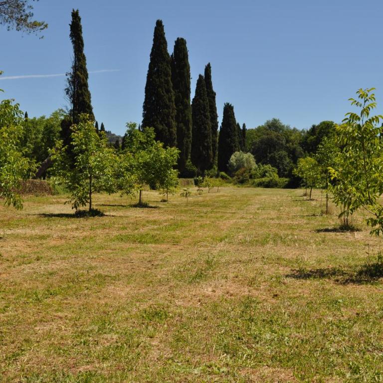 Buonincontro Apartment - Vacation Home - 19