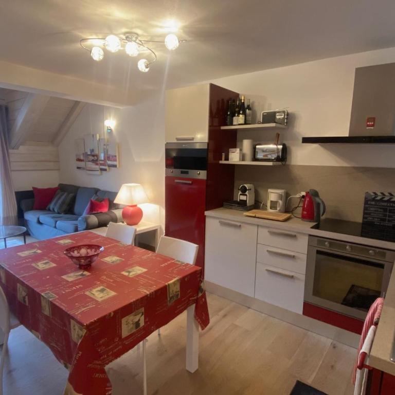 Superbe duplex lumineux pour 8 pers., face aux pistes, parking inclus - FR-1-445-198 - Apartamento - 3
