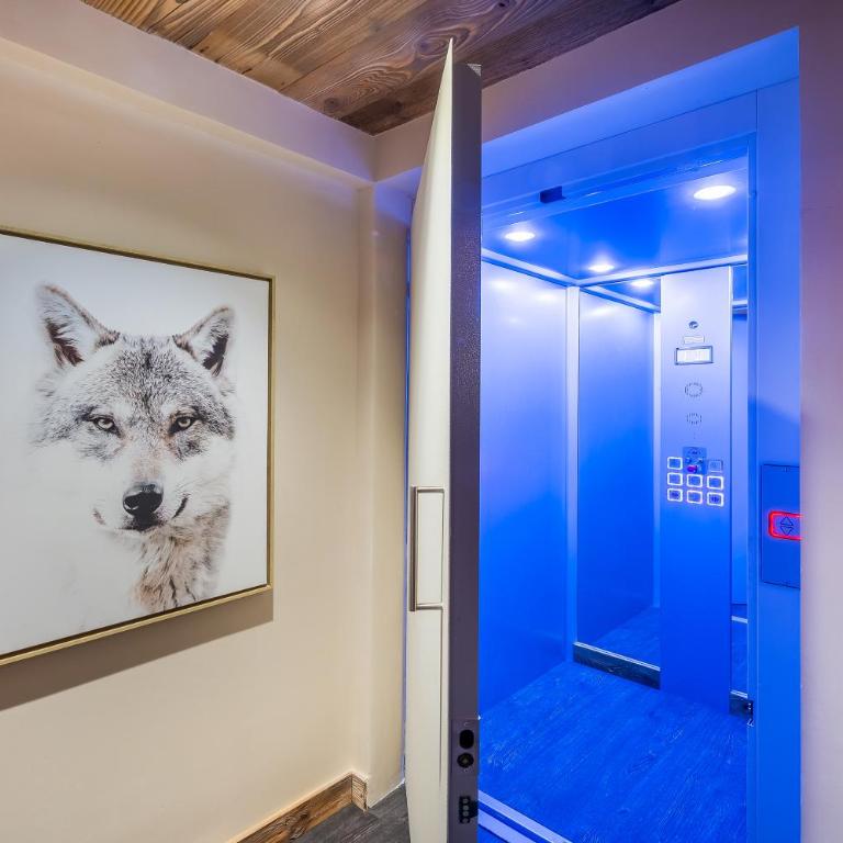 Le Cheval Blanc Luxe, skis aux pieds, jacuzzi, hammam, salle de cinéma - Chalet - 30
