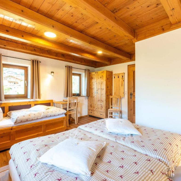 Farmhouse in Wildkogel near Ski Slopes - Maison de Vacances 5 Chambres - 17