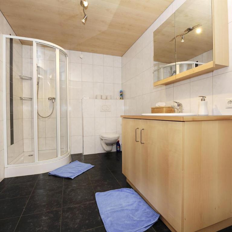 Appart Sauerwein - Apartamento con ducha - 6