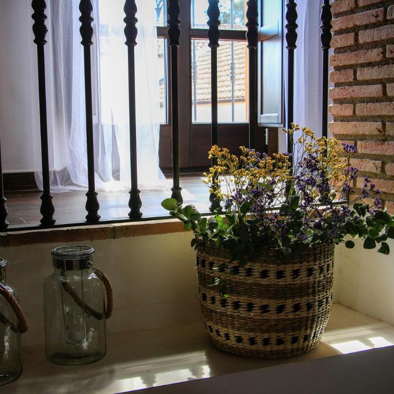 Cortijo Rural Alcornocosas - Casa - 43