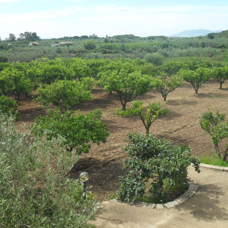Residenza Rosa Maria Country House - Casa con 2 Camere da Letto - 23