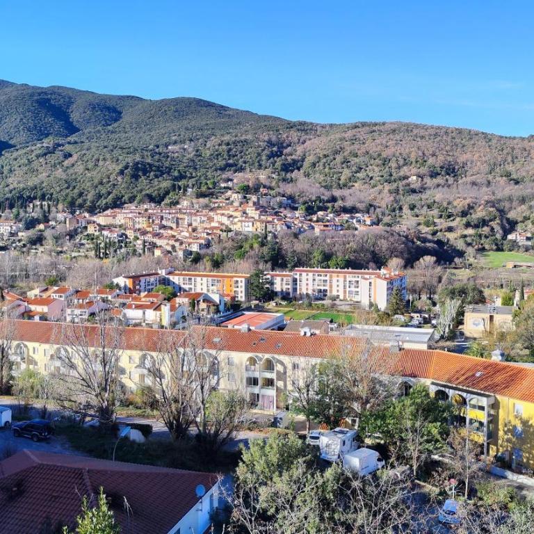 Appartement avec terrasse et belle vue sur Palalda - Appartement 1 Chambre - 12