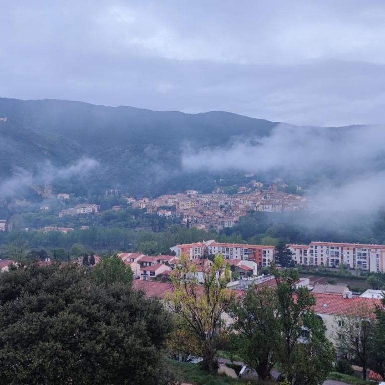 Appartement avec terrasse et belle vue sur Palalda - Appartement 1 Chambre - 11