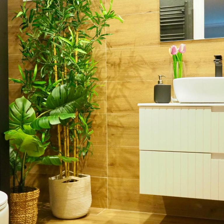 Apartamento en Bilbao - Apartamento de 3 dormitorios - 10