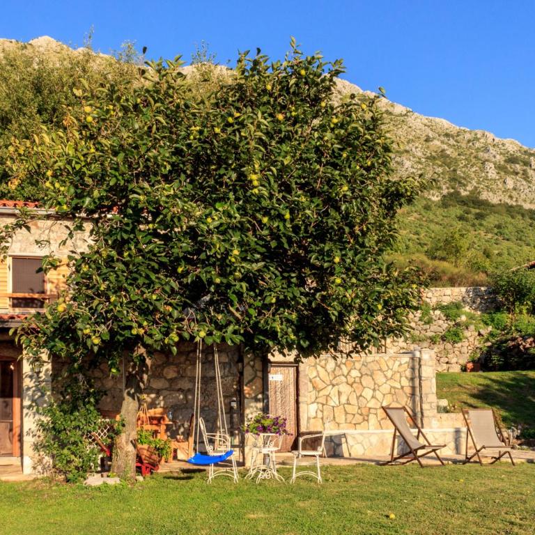 Old stone house with swimming pool Etno House Perazic - Two-Bedroom House - 23