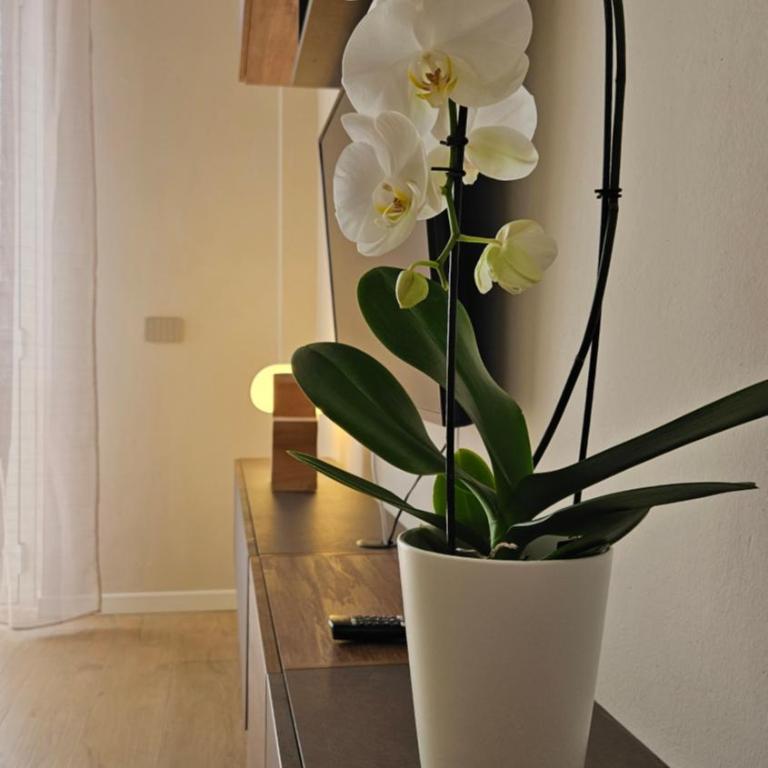 Jack apartment Milan - Rho Fiera - H Sacco - San Siro - Appartamento con 1 Camera da Letto - 6
