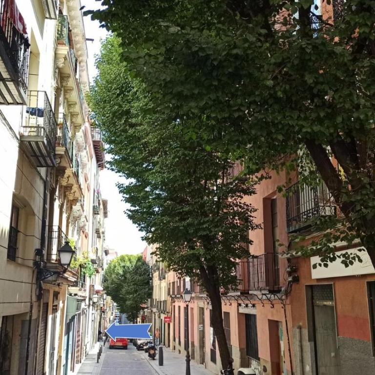 SOL Apartamento Madrid Centro junto a SOL - Three-Bedroom Apartment - 36