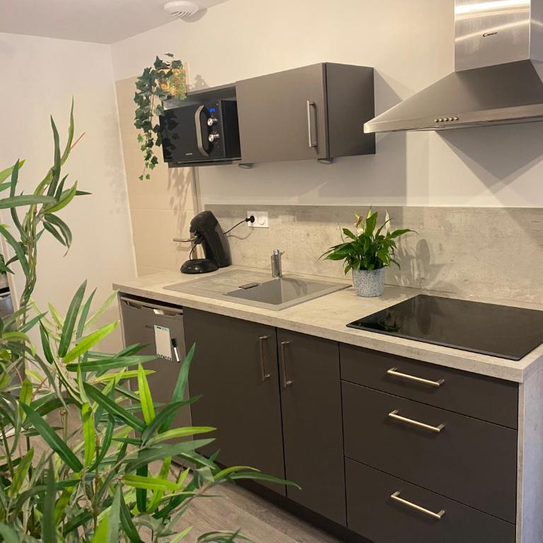 Charmant appartement proche du centre ville - Apartamento de 1 dormitorio - 3