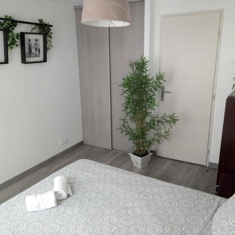 Charmant appartement proche du centre ville - Apartamento de 1 dormitorio - 13