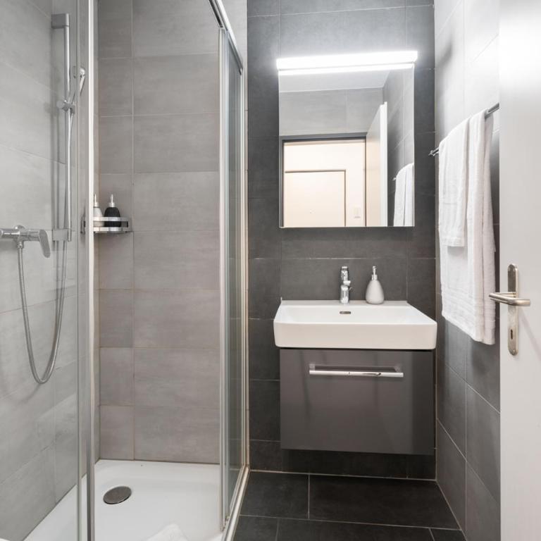 Studio VICTORIA Interlaken - Monolocale Deluxe - 12