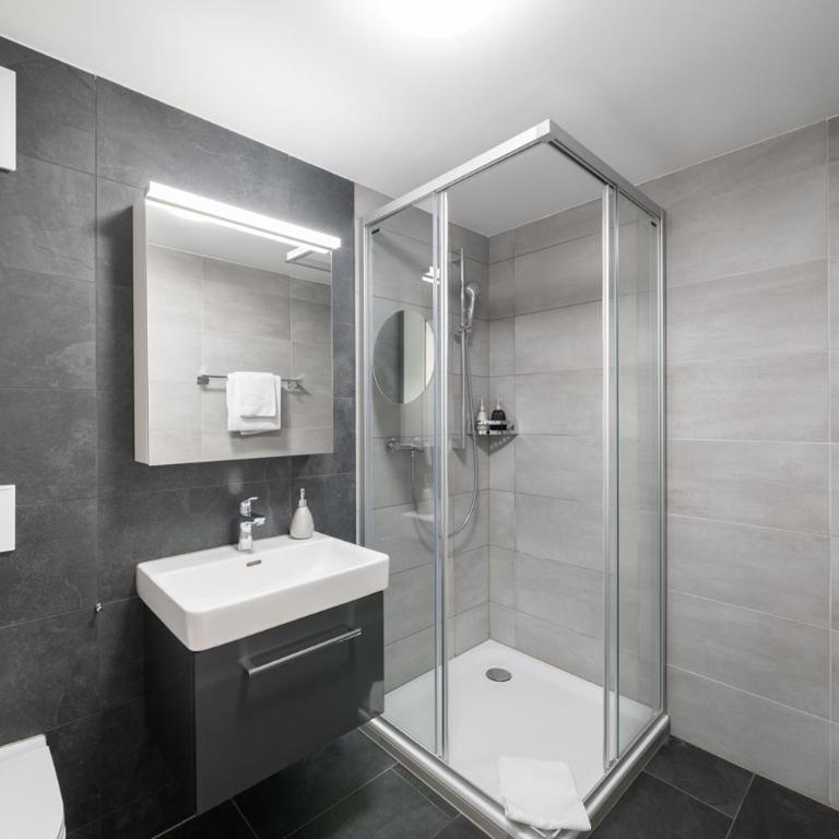 Studio ALBERT Interlaken - One-Bedroom Apartment - 12