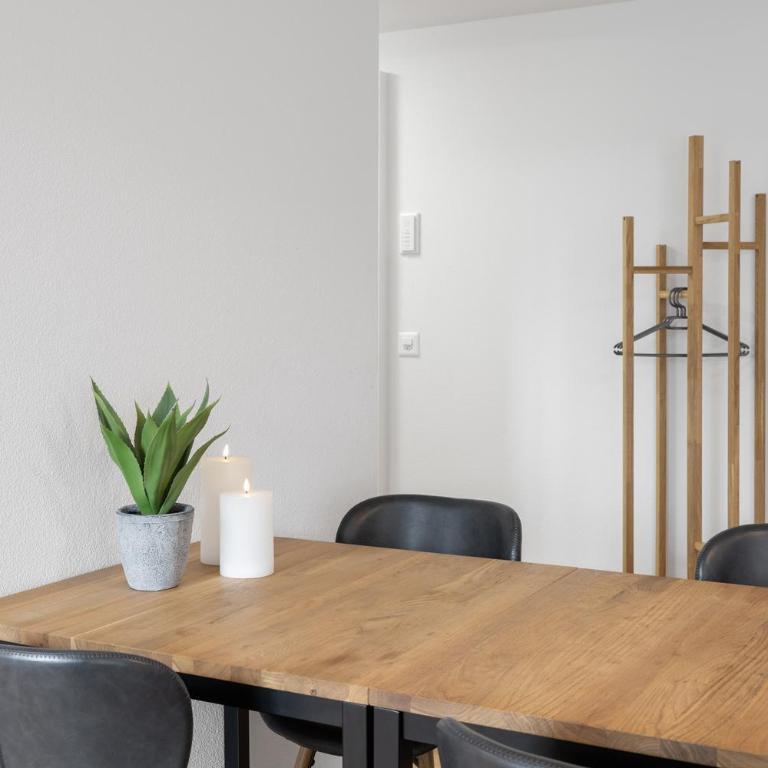Studio ALBERT Interlaken - One-Bedroom Apartment - 5