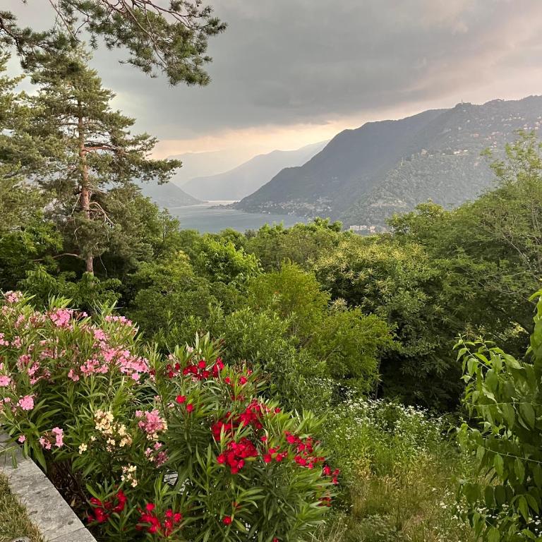 Studio - Villa Cardano - Appartamento con Vista Giardino - 21