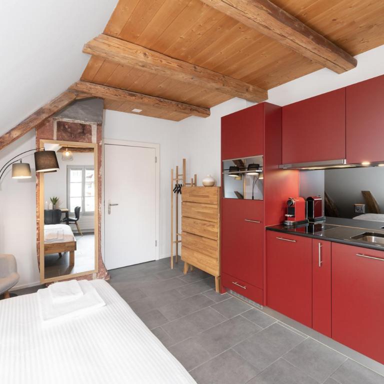 Studio SARA Interlaken - Apartamento de 1 dormitorio - 5