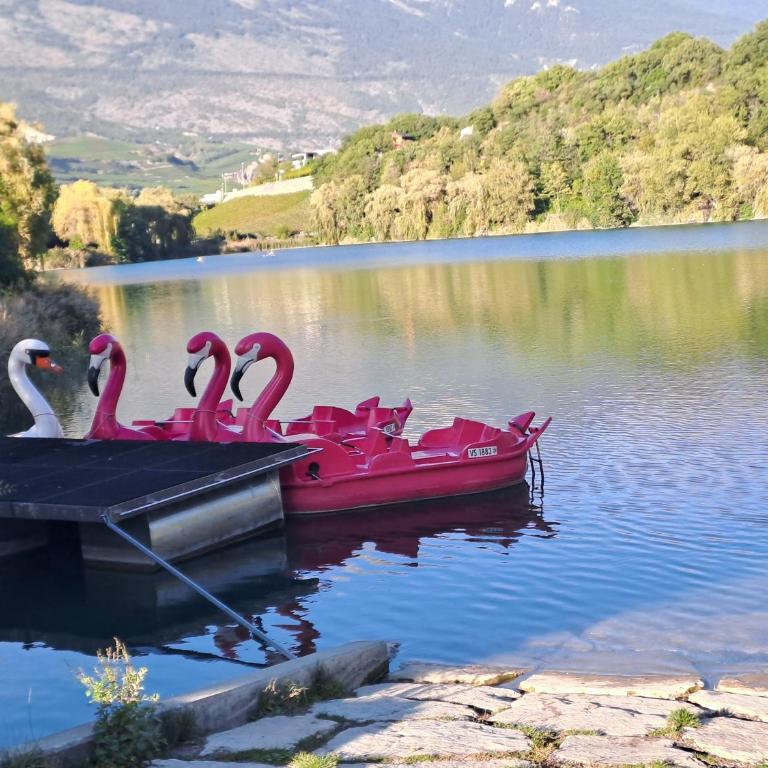 Vacances en tout tranquillité à Vercorin - Apartment mit Blick auf die Berge - 35