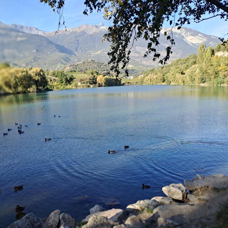 Vacances en tout tranquillité à Vercorin - Apartment mit Blick auf die Berge - 24
