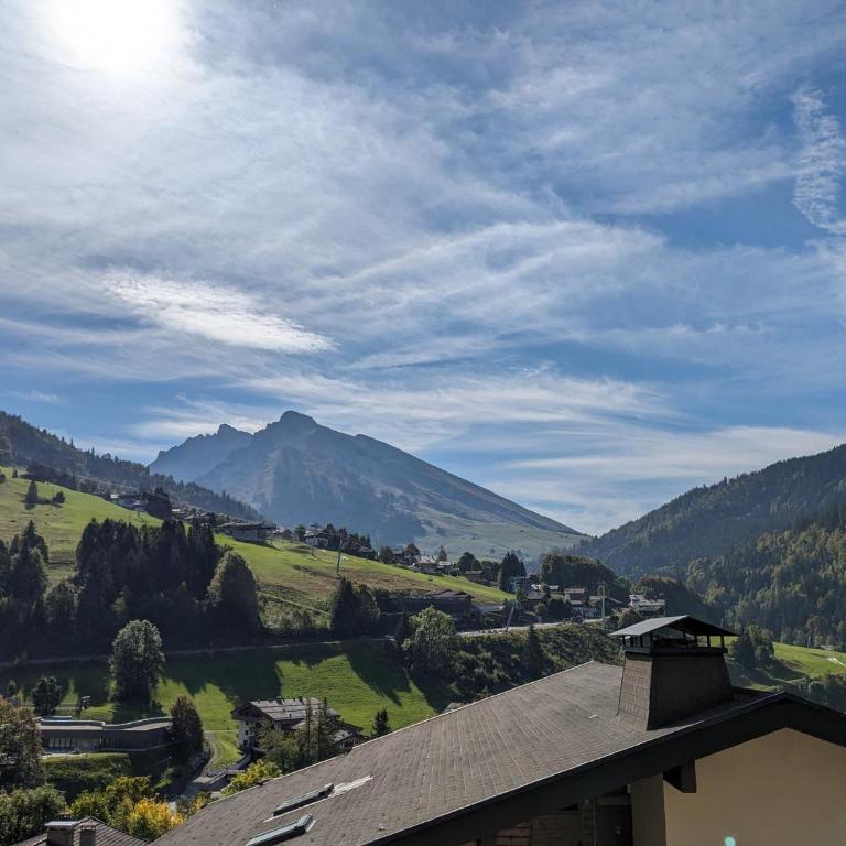 Appartement rénové 2023 au centre de La Clusaz avec balcon, garage, et accès facile aux pistes - FR-1-459-178 - Apartamento (4 adultos) - 10