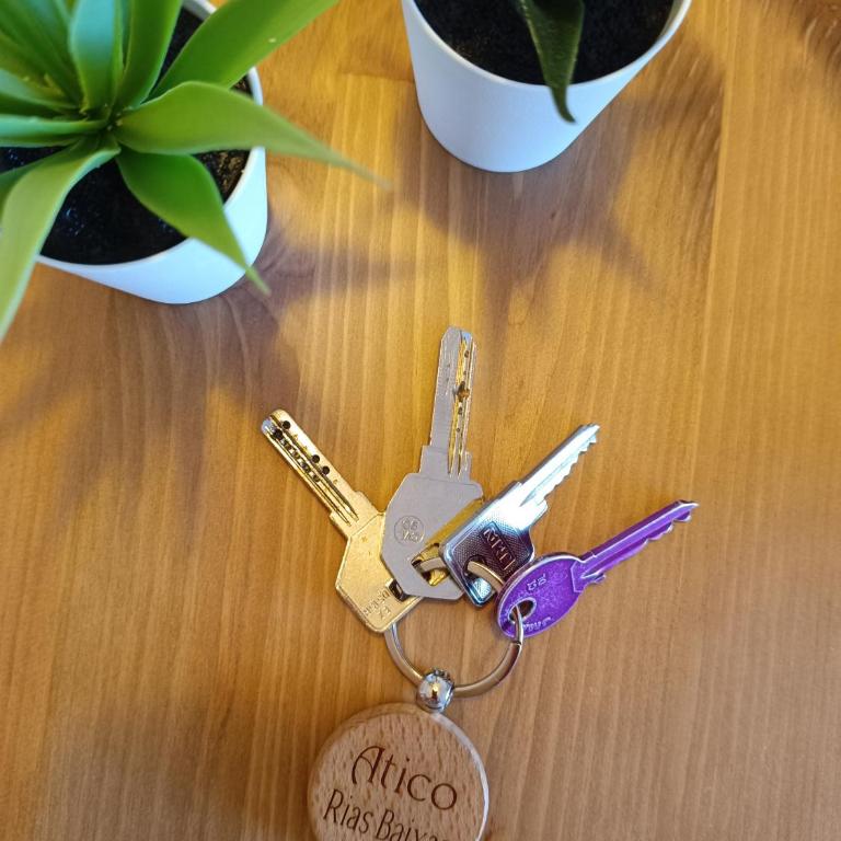 Atico Rias Baixas - Two-Bedroom Apartment - 2