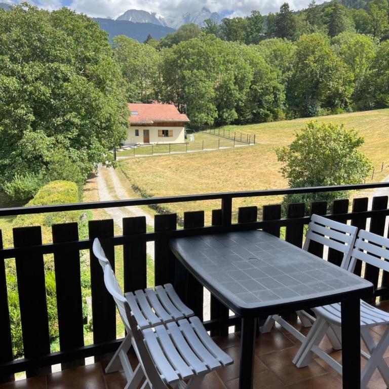 Duplex 3 chambres Vue Mont-Blanc - Appartement 3 Chambres - 24