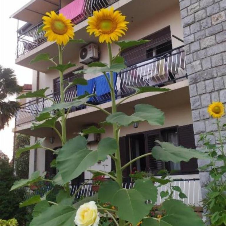 Sea and Sunshine 100m to beach,free parking,centar,View - Apartman sa Pogledom na More - 7