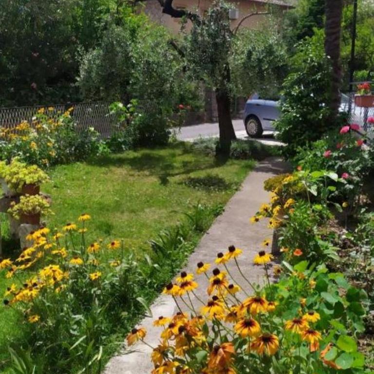 Sea and Sunshine 100m to beach,free parking,centar,View - Apartman sa Pogledom na More - 5