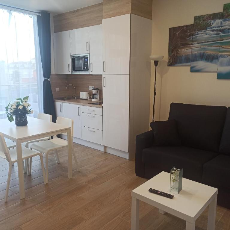 Apartamentos Silgar Plaza - Apartamento de 1 dormitorio - 1